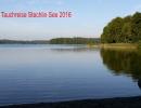 Reise zum Stechlin See