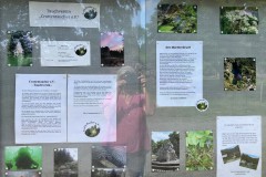 Zu Besuch bei den Höhlentauchern in Crottendorf