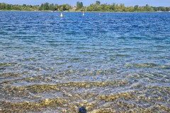 Der Kulkwitz ist einfach ein toller See !