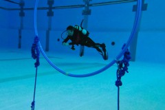 Kleines update vor dem Urlaub gefällig?