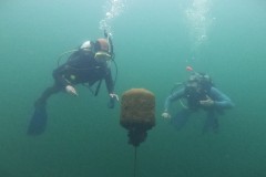 Tarierung im Freiwasser - immer schön ruhig bleiben !