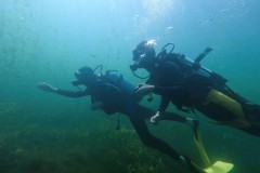 2 Brüder, die sich auch Unter Wasser gut verstehen