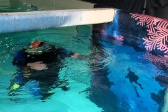 Endspurt OWD-Skills im Pool...