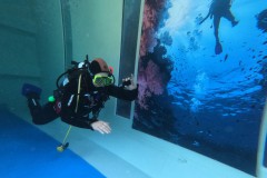 Der kontrollierte schwimmende Notaufstieg will geübt werden