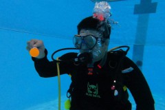 Immer wieder eine schöne Tarierübung.....