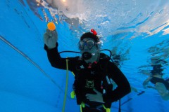 ...und plötzlich hat man alle Hände voll zu tun !!!