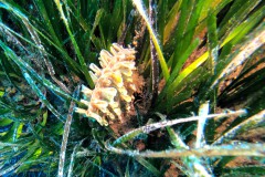 Die UW-Welt ist intakt...