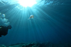 ...und ziemlich "lang"