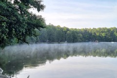 Früh am Morgen - wenn der Nebel aufsteigt....