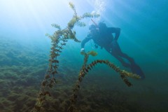 Toll für den 1ten Tauchgang, oder ?