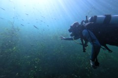 Schnuppertaucher völlig in seiner eigenen Welt UW